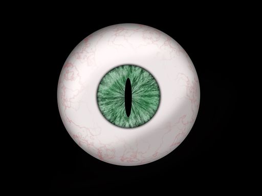 A snake or dragon eyeball on a black background