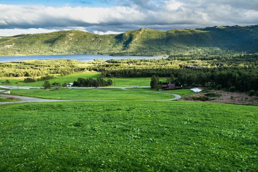 A scenic small village along the Oslo-Bergen railway surrounded by the beautiful natural landscape of southern Norway