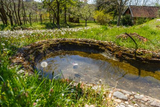 A shallow pond surrounded by beautiful landscape field