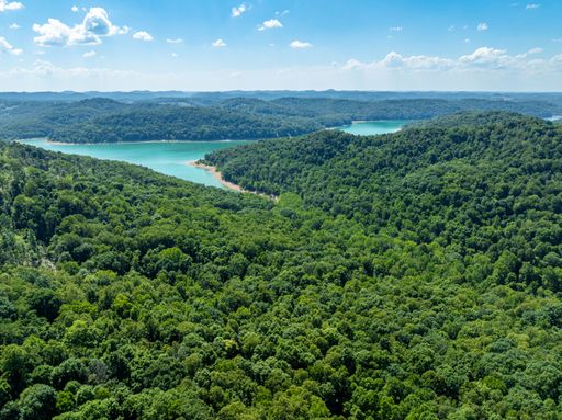Aerial view of lush green forest and turquoise lake on a clear sunny day.