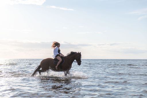 A young woman riding a horse in the ocean water