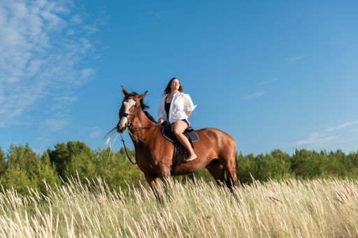 A young woman riding a horse in a grassy field with a forest and blue sky in the background