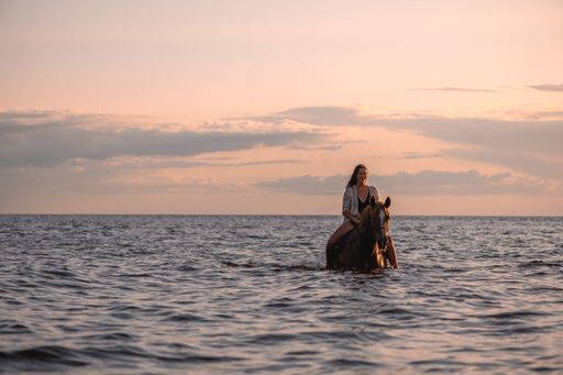 A woman riding a horse in the sea at sunset