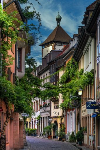 A charming narrow street in Freiburg im Breisgau, Germany with historic buildings and lush greenery