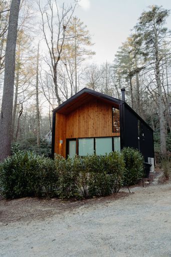 A vertical shot of a modern cabin in the woods surrounded by tall trees and greenery on a clear day