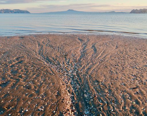 An aerial of a sandy beach covered with cockle shells with calm blue waters and Rangitoto island in the background at sunset in Auckland, New Zealand