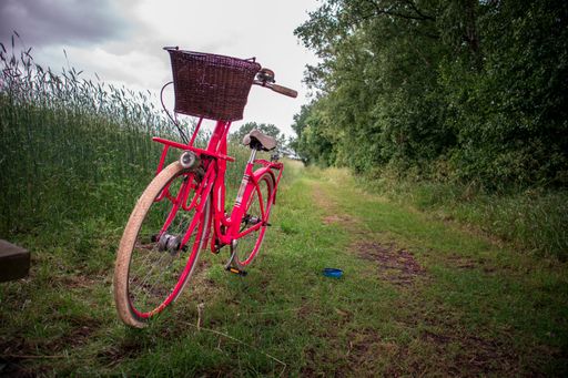 A red vintage bicycle with a basket parked in a park