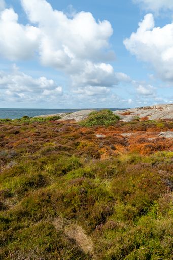 A field covered in the grass and rocks surrounded by a river under the sunlight at daytime