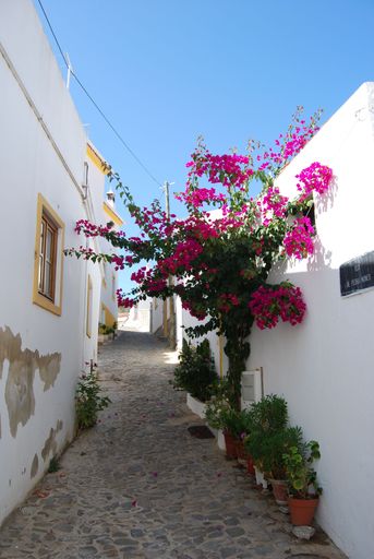 A vertical shot of an alley of white buildings decorated with flowers under the sunlight