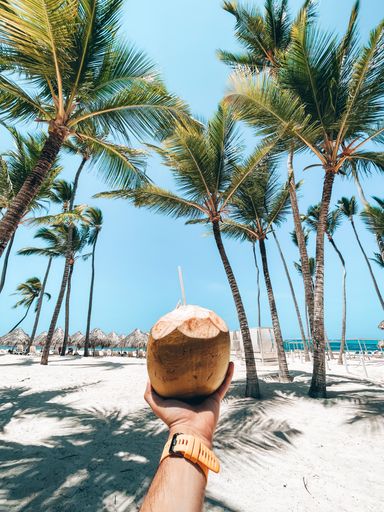 A hand holding a coconut with a drinking straw on the background of a beach with palm trees