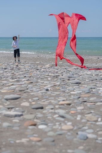 A person flying a red kite on a pebble beach with a blue sea and clear sky in the background