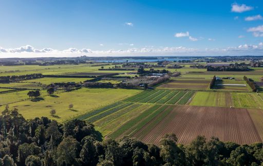 an aerial shot of horowhenua looking north to Lake Horowhenua and Levin. showing market gardens, flat pastures, trees