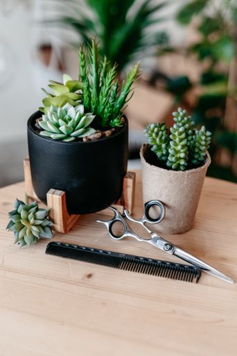 A vertical shot of artificial cactus flowers in pots with scissors and ruler on table