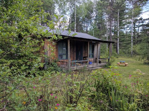 An old wooden cabin in a forest surrounded by a lot of tall trees