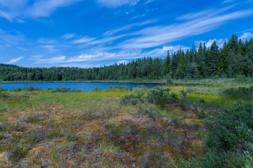 A small, quiet lake in the Swedish forest, where you can have a coffee and enjoy nature