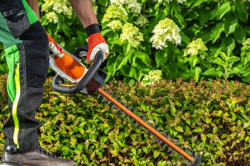 A gardener uses an electric pruner to meticulously trim hedges in a vibrant garden filled with greenery and flowers.