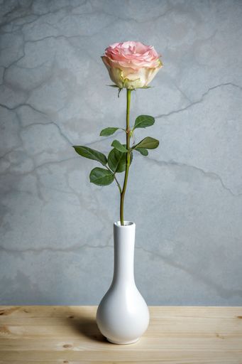 A single pink rose in a white vase on a wooden table with a textured gray background