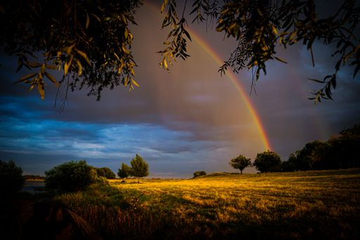 A landscape of a field covered in greenery under a cloudy sky with a rainbow on it after the rain