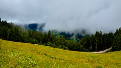 A scenic view of a lush green meadow leading to a dense forest under a cloudy sky in the Dienten mountains