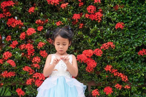 A cute Southeast Asian child girl with white dress playing with a flower, red flowers  in background