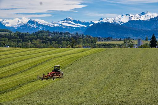 A Beautiful scenery of a tractor harvesting  in a green land with icy mountains under blue cloudy sky