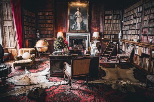 A Luxurious vintage library with antique furniture, a globe, and a portrait painting on the wall in Dunborin castle
