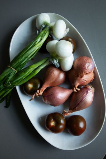 A top view of fresh vegetables including green onions, white onions, shallots, and tomatoes arranged on a white plate.
