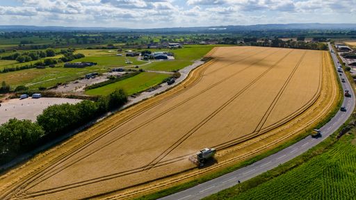 An aerial view of a combine harvester working in a wheat field during harvest season