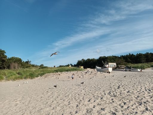 A scenic view of a kid playing on the beach with birds around him on a sunny day, he is running towards a moored boat and grassy area