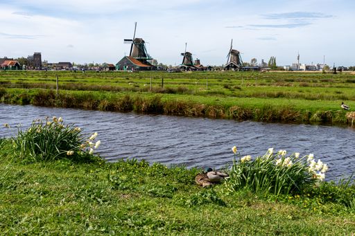 A scenic view of Zaanse Schans, a historic mill village with centuries-old windmills and timber houses by the river