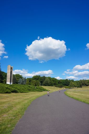 A vertical shot of a park with kids playing and riding a bicycle