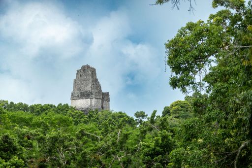 A stunning view of Tikal Temple I surrounded by lush green foliage under a clear blue sky in Guatemala.