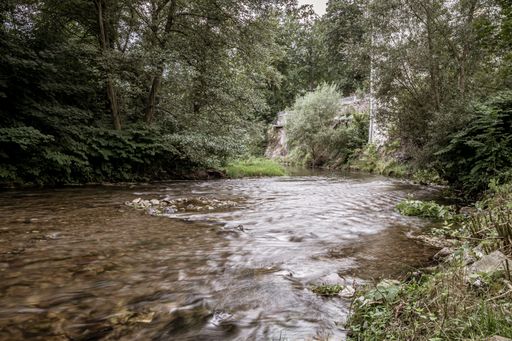A river surrounded by trees and bushes under the sunlight at daytime - cool for backgrounds
