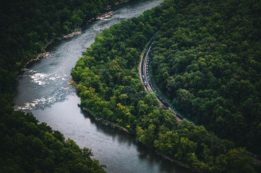 Aerial view of a train winding through a lush green forest along a river.