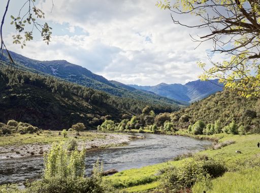 A Country landscape with a river running through the forest between the mountains under a cloudy sky