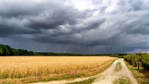 A dirt path runs alongside a golden wheat field, with the Dark, ominous clouds from the 2023 summer storm Poly, looming overhead.
