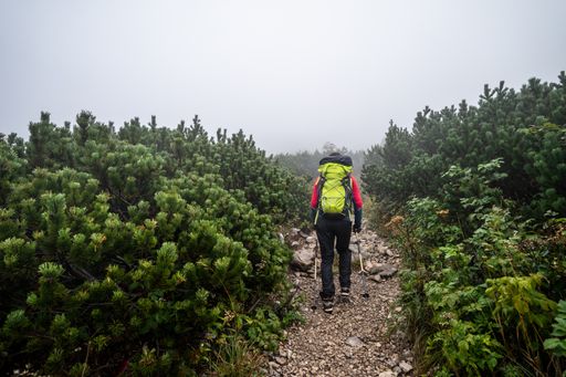 Hiker walking or trekking on gravel path surrounded with mountain bushes and small trees. Misty path through mountain landscape. Mountain trail in fog