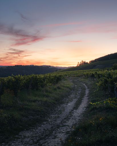 A landscape scene fo Green fields around a dirt road at sunset