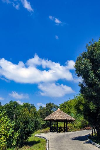 A scenic pathway leading to a thatched-roof gazebo surrounded by lush greenery under a clear blue sky.