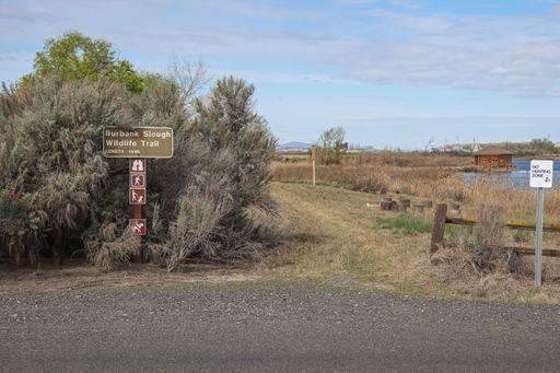 The entrance to the Burbank Slough Wildlife Trail, where visitors can walk or birdwatch in the Washington nature preserve.