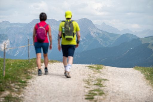 Two hikers walking on a mountain trail with scenic views of the Alps in the background on a cloudy day.