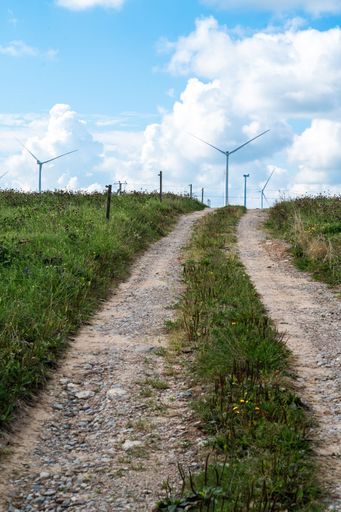 A rural dirt road leading to wind turbines under a bright blue sky with fluffy clouds.