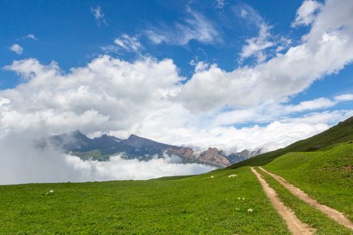 A small pathway in the middle of the hill covered in greenery under a bright sky