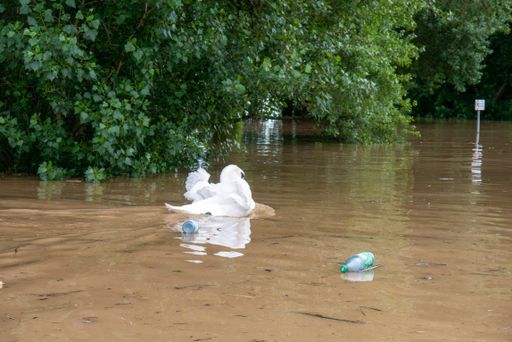 A closeup shot of a flood flotsam under a stormy weather