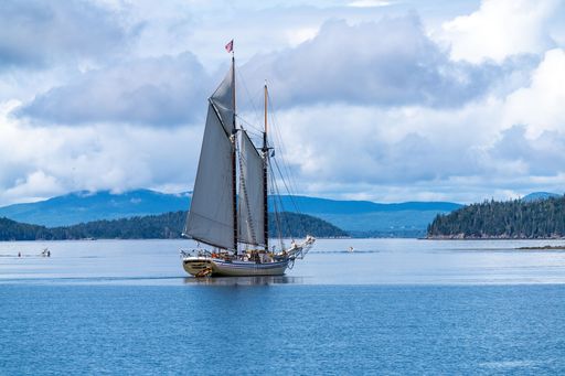 A tourist schooner anchored in NW Harbor, Deer Isle, Maine, USA on a clear day