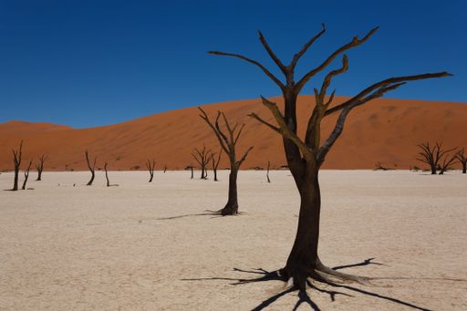 A view from Dead Vlei, Sossusvlei Namibia