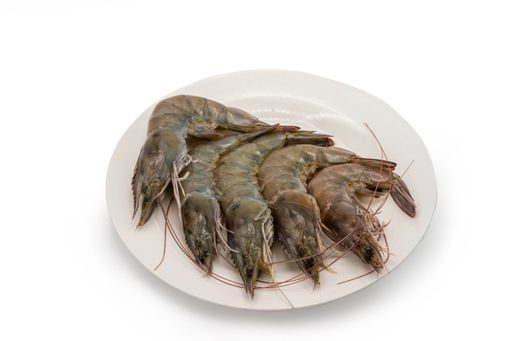 A closeup shot of tasty seafood on a white plate