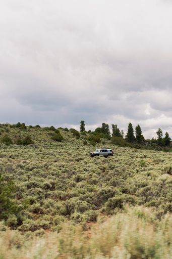 A vertical shot of a truck driving in a meadow covered in greenery under a rainy sky on a gloomy day