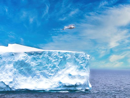 A landscape view of a gull flying over Iceberg in Labrador under blue sky
