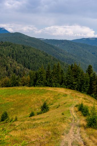A grassy meadow with lush woods and mountains in the background under a cloudy sky